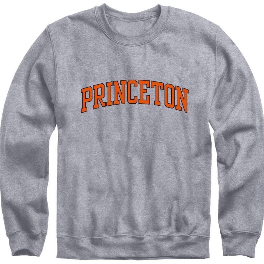 Princeton heather gray Champion hoodie